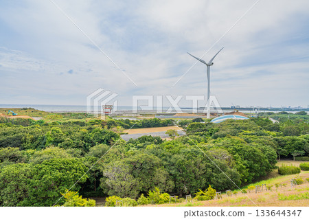 岩田市(靜岡縣)龍洋海洋公園的景色 岩田市(靜岡縣)龍洋海洋公園的景色 133644347
