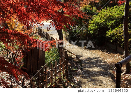 秋葉路徑 133644560