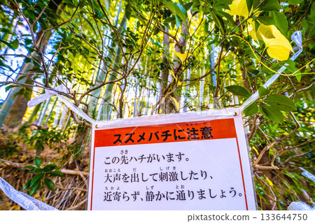 Yokohama cityscape in Japan - Beware of hornets! "There are hornets up ahead. Don't provoke them by shouting..." 133644750
