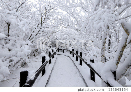 Deogyusan national park covered in white snow. Muju-gun, Korea. 133645164