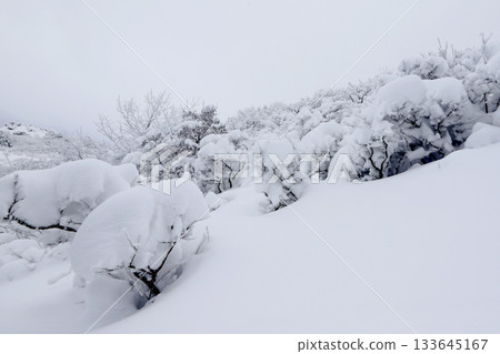 Deogyusan national park covered in white snow. Muju-gun, Korea. 133645167
