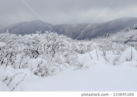 Deogyusan national park covered in white snow. Muju-gun, Korea. Deogyusan national park covered in white snow. Muju-gun, Korea. 133645169