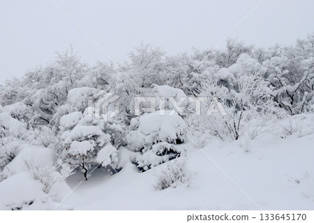 Deogyusan national park covered in white snow. Muju-gun, Korea. 133645170