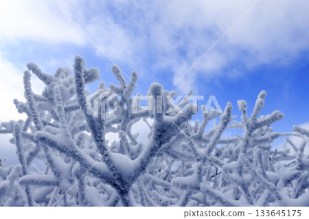 Deogyusan national park covered in white snow. Muju-gun, Korea. Deogyusan national park covered in white snow. Muju-gun, Korea. 133645175