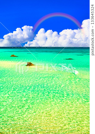 17. Beautiful coral reef at End Beach 17. Beautiful coral reef at End Beach 133645324