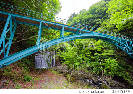 西丹澤橫澤公園橋上的新鮮綠植 133645379