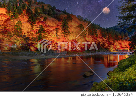 Beautiful autumn leaves scenery light up along the Kamogawa Beautiful autumn leaves scenery light up along the Kamogawa 133645384