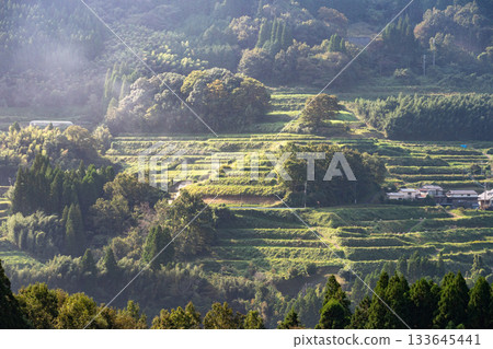 Takachiho Tochimata Rice Terraces 133645441