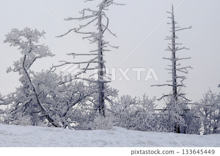 Deogyusan national park covered in white snow. Muju-gun, Korea. 133645449