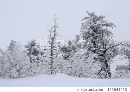 Deogyusan national park covered in white snow. Muju-gun, Korea. 133645450