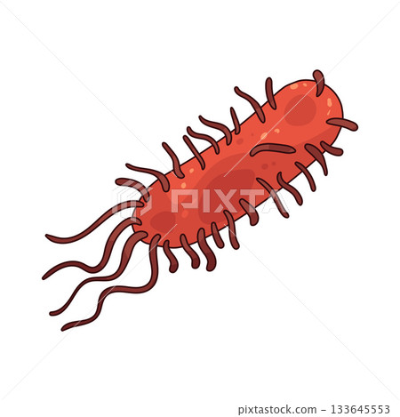 illustration of bacteria illustration of bacteria 133645553