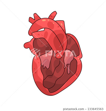 illustration of heart illustration of heart 133645563