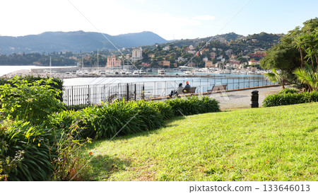 Panoramic sea view in Liguria, Rapallo, Italy. Park, nature, exotic trees and plants. Design backdrop. 133646013