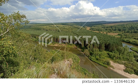 Lush Green Forest Landscape with a Winding River Under a Cloudy Sky, Natural Beauty 133646130