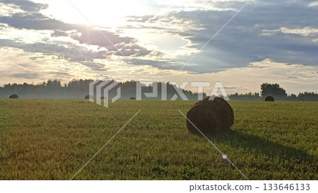 Depict the serene beauty of a rural landscape with scattered hay bales across rolling hills, bathed in the warm light of evening, capturing the essence of peaceful country life. 133646133