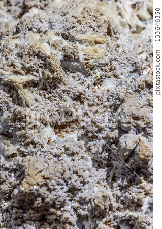 Dense gypsum fibrous crystal aggregate mineral in detailed macro view with sparkling texture Dense gypsum fibrous crystal aggregate mineral in detailed macro view with sparkling texture 133646350