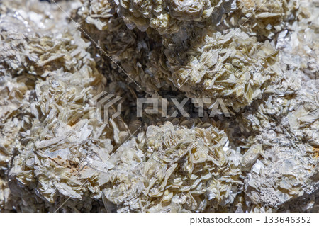 Selenite desert rose with sand particles reveals petal crystal forms and soft shimmering texture 133646352