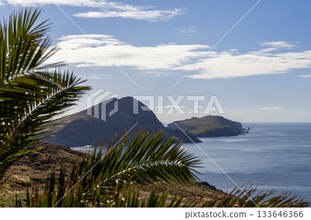 Tropical foreground of palm fronds overlooking Ponta de Sao Lourenco peninsula Madeira Island 133646366