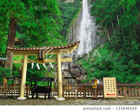 View of Nachi Falls surrounded by deep greenery from the observation stage View of Nachi Falls surrounded by deep greenery from the observation stage 133646429