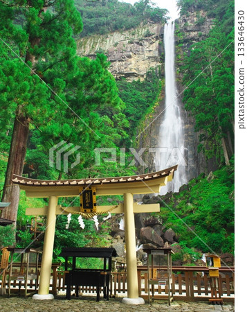 從觀景台上可以欣賞到被茂密綠植環繞的那智瀑佈景色。 從觀景台上可以欣賞到被茂密綠植環繞的那智瀑佈景色。 133646430