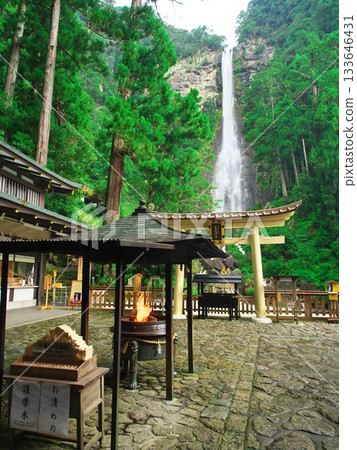 那智瀑布四周綠樹環繞，還有具有淨化功效的芝麻木。 133646431