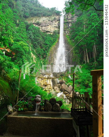 View of Nachi Falls surrounded by deep greenery from the water fortune-telling tying point View of Nachi Falls surrounded by deep greenery from the water fortune-telling tying point 133646432