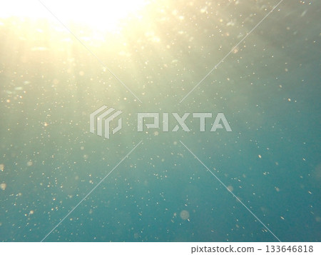 Sunlight seen from underwater 133646818
