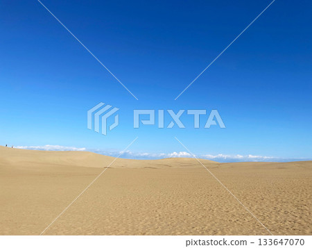 Tottori Sand Dunes in Winter, Japan 133647070