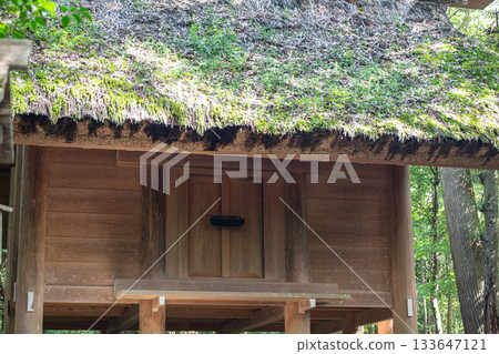 Ise Jingu, Ise, Mei, Japan, Traditional wooden hut with moss roof in forest setting 133647121