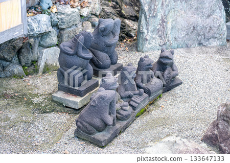 Stone frog statues arranged outdoors on gravel near rocks and wall near Meoto Iwa Futami, Ise city, Japan 133647133