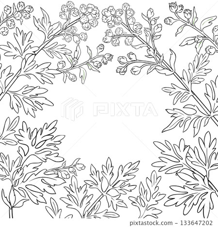 Wormwood Branch with Flowers Outline Frame. 133647202