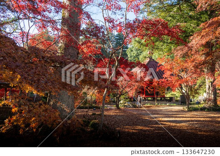 栃木縣益子町圓通寺的秋葉 栃木縣益子町圓通寺的秋葉 133647230