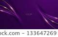 purple abstract background with luxury elements vector illustration 133647269