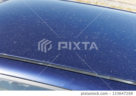 車頂上的污垢 車頂上的污垢 133647289