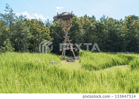 Ghibli Park, Aichi, Nagakute, Ibaragabasama, Japan - Sep 19, 2024 : Wooden hunting tower in green field near forest under blue sky 133647314