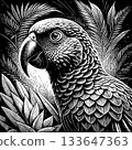 Artistic Black and White Parrot Sketch with High Contrast Detailing 133647363