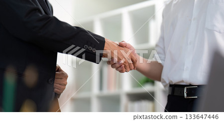 Handshake Agreement. Two professionals sealing a business deal with a handshake. 133647446