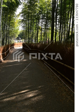日本春天的京都，嵐山周圍的街道，作為旅遊勝地的竹林小路，一條被大量竹子包圍的神秘小路 133647780