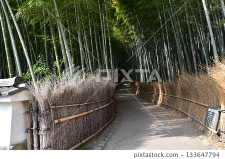 Kyoto in spring in Japan, the streets around Arashiyama, a bamboo forest path that is a tourist attraction, a mysterious path surrounded by lots of bamboo 133647794