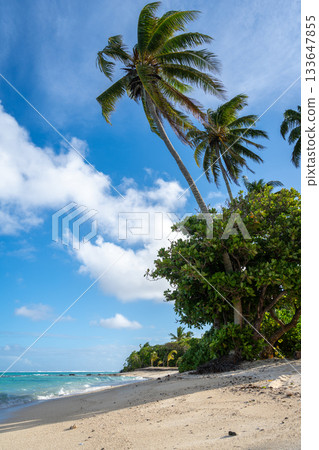 Anini Marae Beach on Huahine, French Polynesia, with turquoise waters Anini Marae Beach on Huahine, French Polynesia, with turquoise waters 133647855