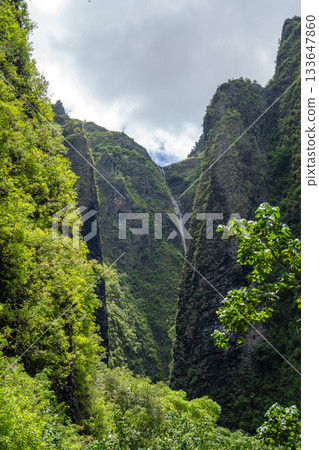 Vaipo waterfall in Hakaui valley, Nuku Hiva, French Polynesia wild nature Vaipo waterfall in Hakaui valley, Nuku Hiva, French Polynesia wild nature 133647860