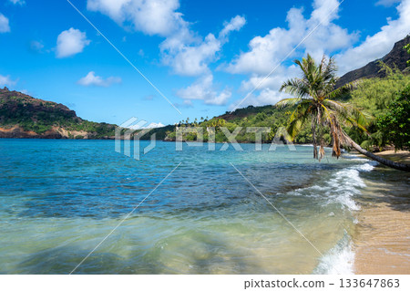 Anaho Bay and beach with palm trees, Nuku Hiva, French Polynesia Anaho Bay and beach with palm trees, Nuku Hiva, French Polynesia 133647863