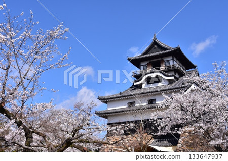 日本愛知縣犬山市：春天櫻花盛開的犬山城、日本最古老的國寶天守閣和美麗的藍天 133647937