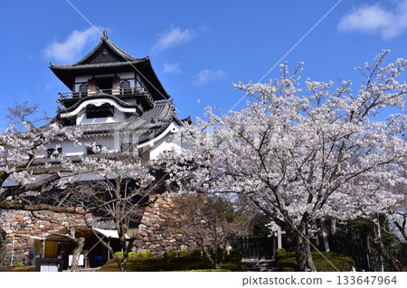 日本愛知縣犬山市：春天櫻花盛開的犬山城、日本最古老的國寶天守閣和美麗的藍天 133647964
