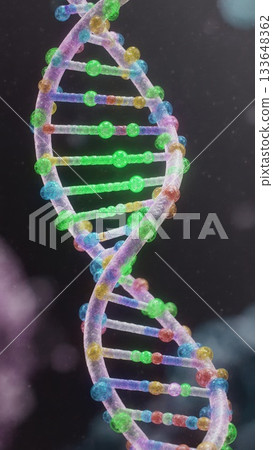 DNA Transcription Process with RNA Polymerase 133648362