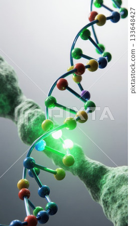 DNA Transcription Process with RNA Polymerase DNA Transcription Process with RNA Polymerase 133648427