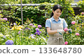 Woman gardening in the garden 133648780