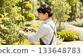 Woman gardening in the garden 133648783