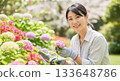 Woman gardening in the garden 133648786