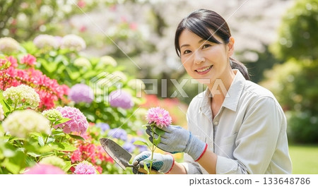 Woman gardening in the garden 133648786
